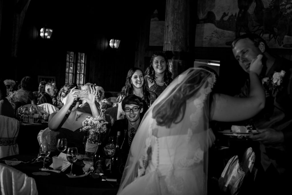 Cadenza Photo Imaging - Quad Cities wedding photographer - Reception