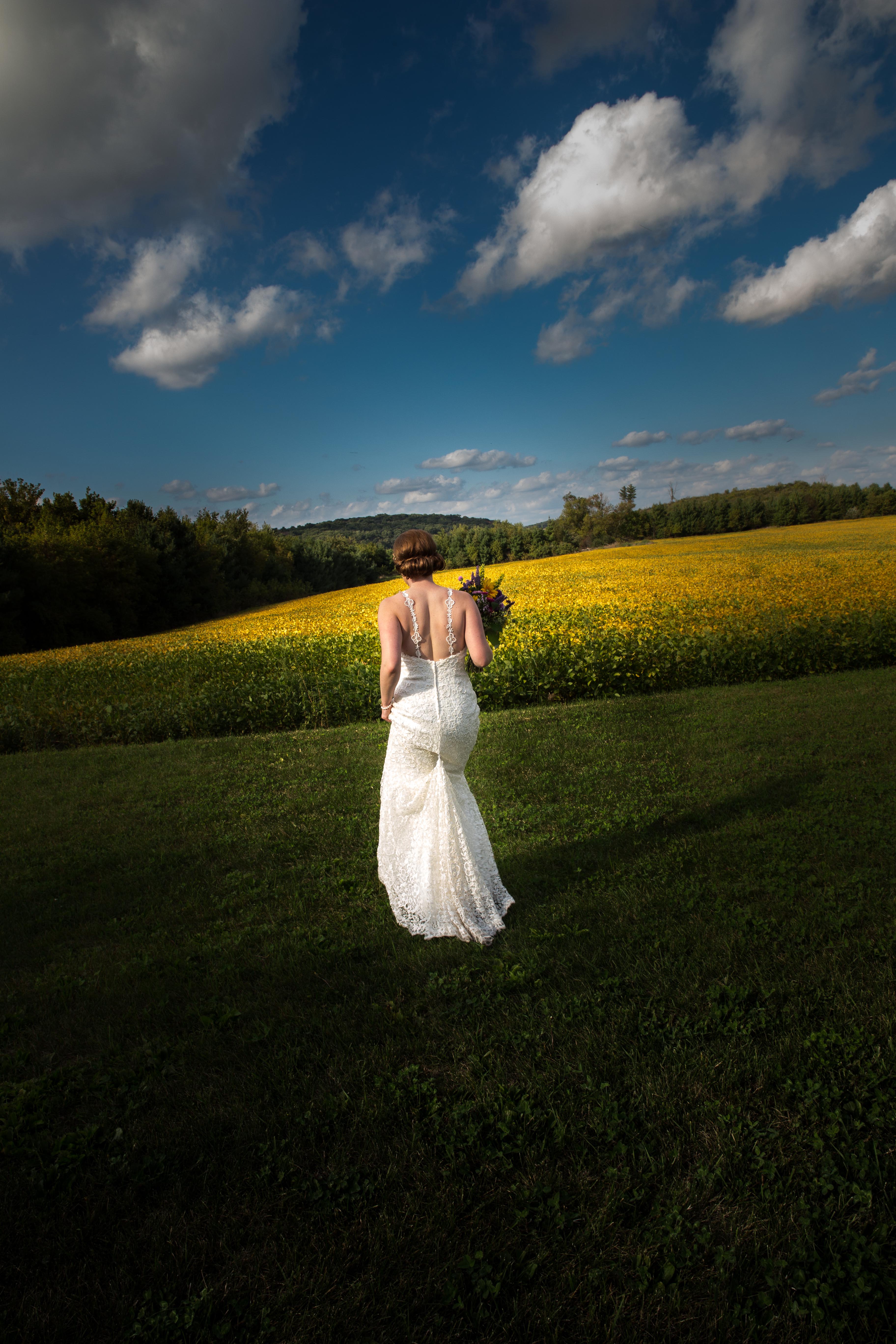 Quad Cities Wedding Photographer - Cadenza Photo Imaging - Barn Wedding